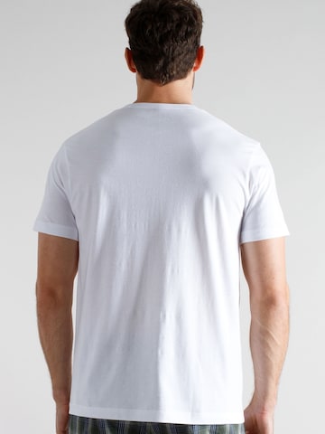 TOM TAILOR Podkoszulka w kolorze biały