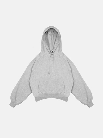 ENRAGE - Sudadera 'RETRO SWAGAhood' en gris: frente