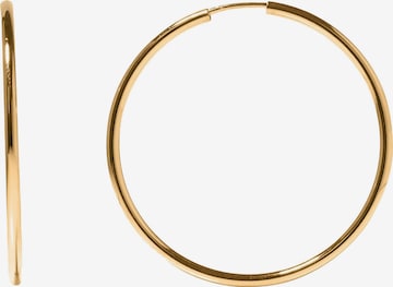 Boucles d'oreilles Stilnest en or : devant