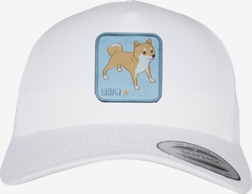 F4NT4STIC Cap 'Shiba Inu' in White: front