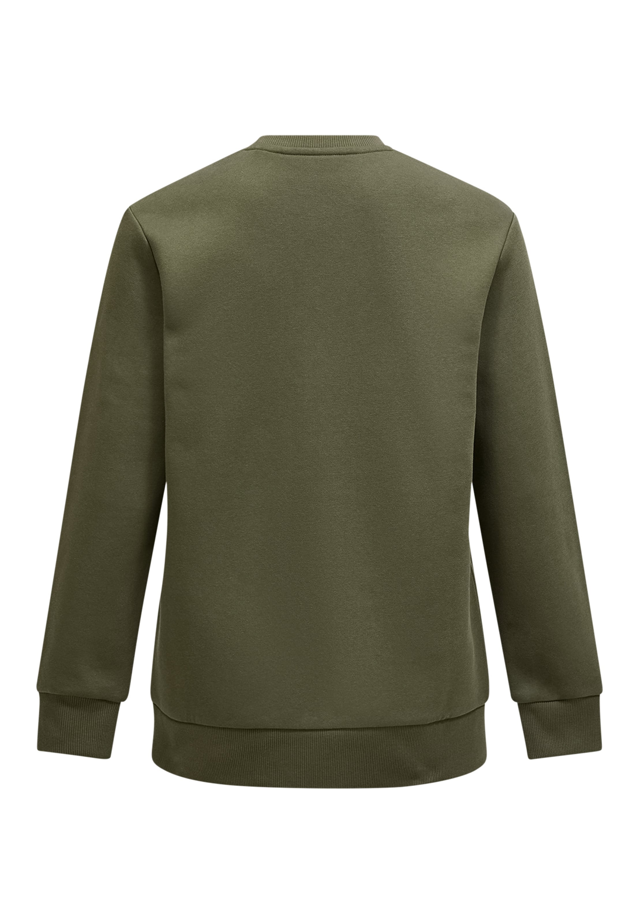 Pull-over PEAK PERFORMANCE en vert