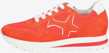 PETER KAISER Sneakers in Red