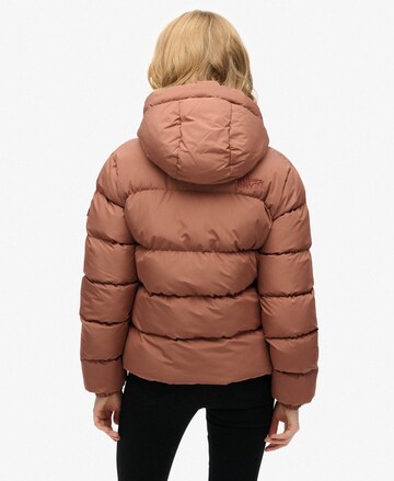 Veste d’hiver Superdry en marron