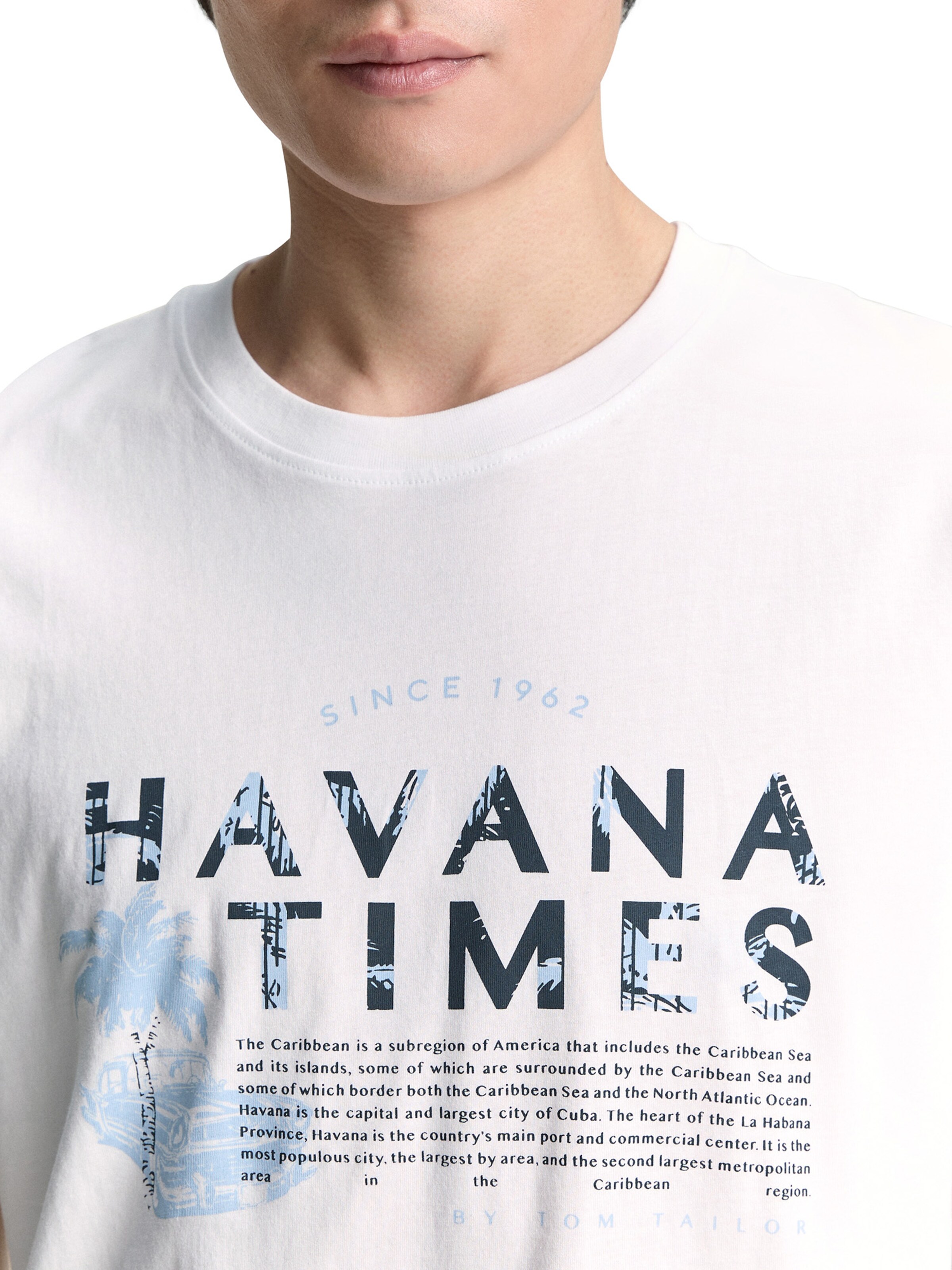 TOM TAILOR - Camiseta en blanco