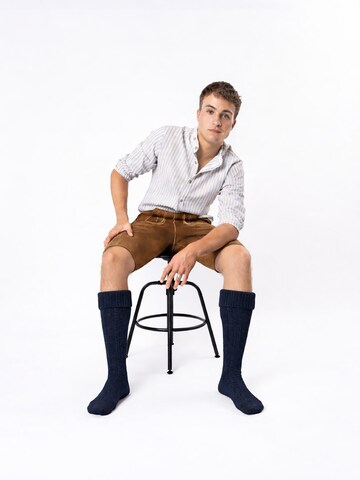 HerzSticht Trachtensocken 'Silberdistel'‌‌‌‌‌‌‌‌‌‌ in Grau