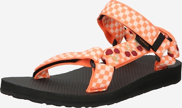 TEVA Pohodni sandali | oranžna barva: sprednja stran