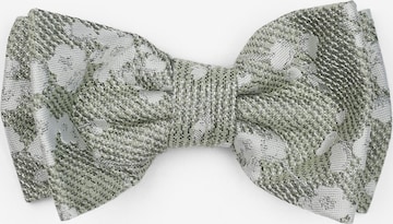 Real Guys Fliegen-Set mit Einstecktuch in Grün: Vorderseite