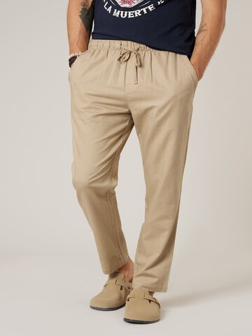 Loosefit Pantalon chino 'GLADES ' Deeluxe en marron : devant