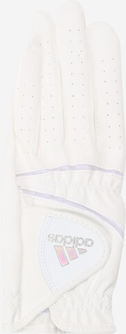 ADIDAS GOLF - Guantes deportivos en blanco