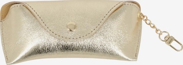 Brise Case 'Brillenetui' in Gold: front