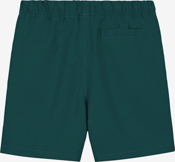 Shiwi Badeshorts in Grün