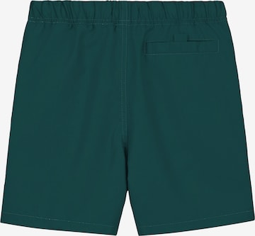 Shiwi Board Shorts in Green