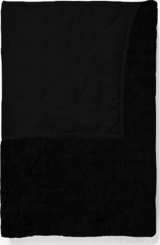 ESSENZA Tagesdecke 'Philippine' in Schwarz: Vorderseite