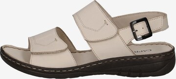 CAPRICE Sandals in Beige