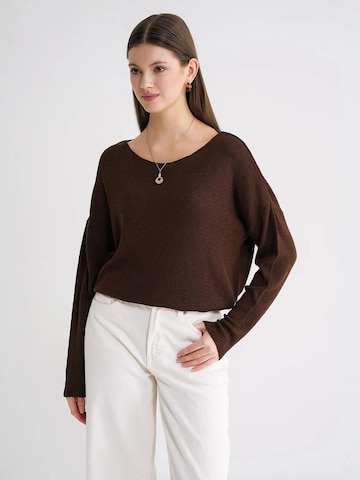 Pullover 'Pullover' di MixRay in marrone: frontale