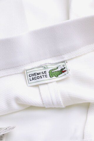 LACOSTE Shorts in 29-30 in White