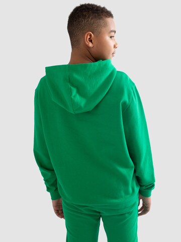 BIG STAR Sweatshirt 'JEFFERSON' in Green