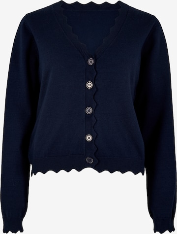 Cardigan bavarois ' ' Apricot en bleu : devant