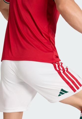 ADIDAS PERFORMANCE Regular Sports trousers 'Ungarn 2026' in White