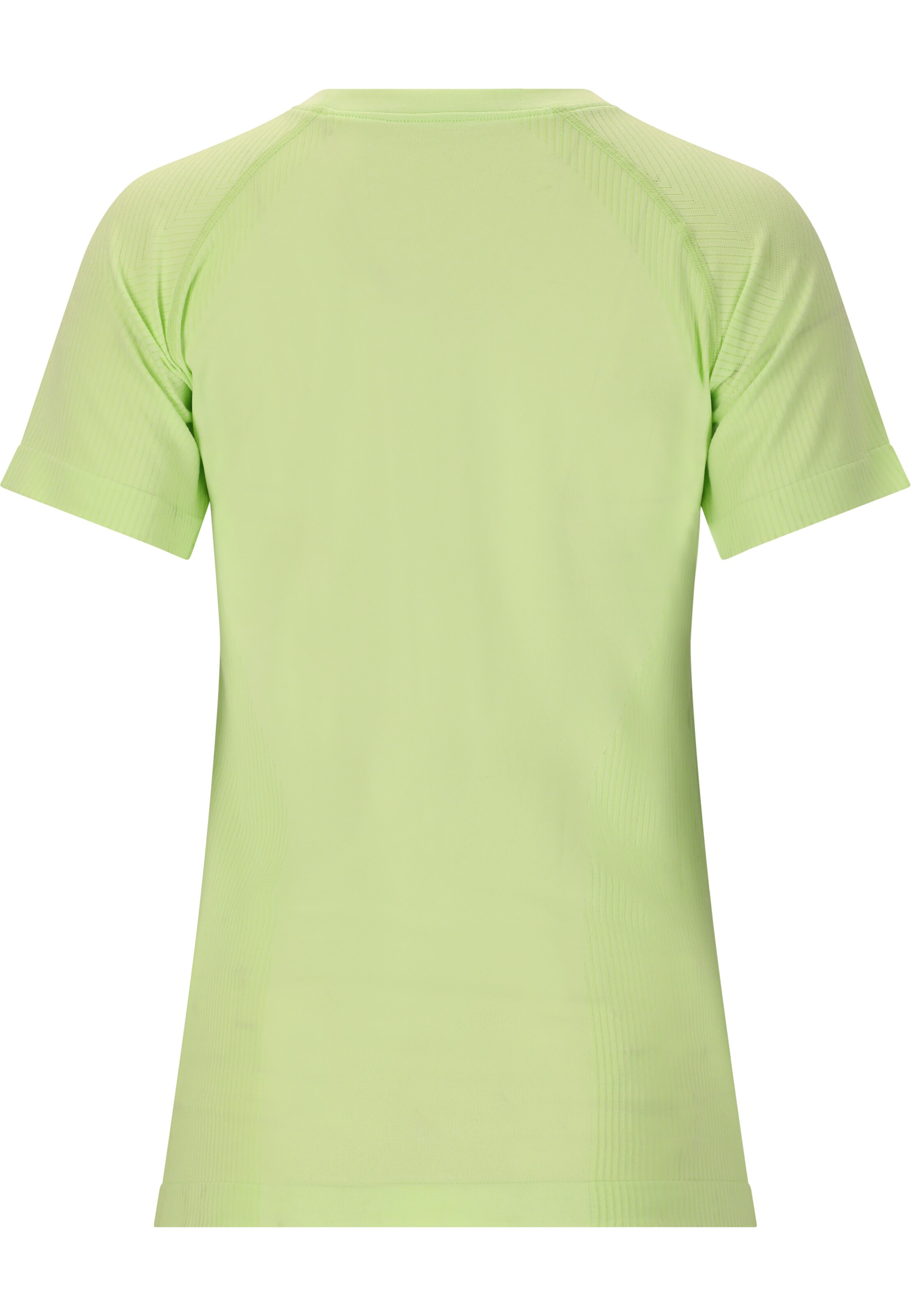 ENDURANCE Functioneel shirt 'HALEN' in Groen