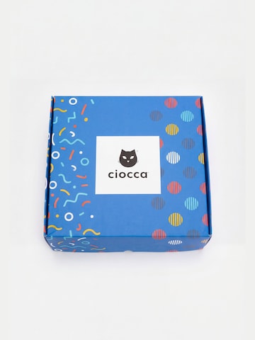 Ciocca Knee socks in Mixed colours