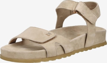 Sandales à lanières Paul Green en beige : devant