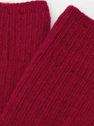 CALZEDONIA Socks in Red
