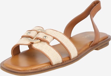 ALDO Strap Sandals 'FANDRA' in Beige: front