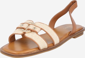 Sandalo con cinturino 'FANDRA' di ALDO in beige: frontale