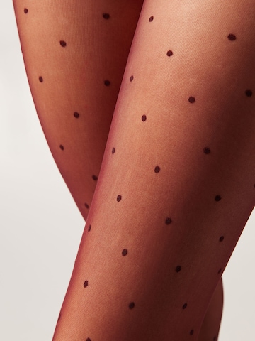 CALZEDONIA Strumpfhose in Schwarz