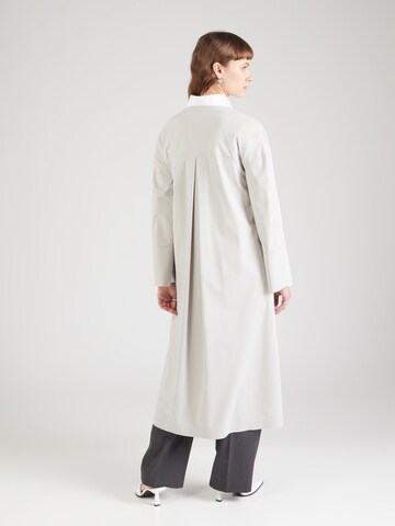 Max Mara Leisure Dress 'RAPACE' in Grey