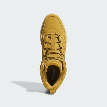 ADIDAS SPORTSWEAR Boots 'Hoops 4.0' in Brown