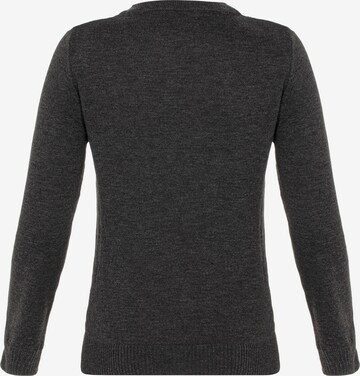 CIPO & BAXX Pullover in Grau