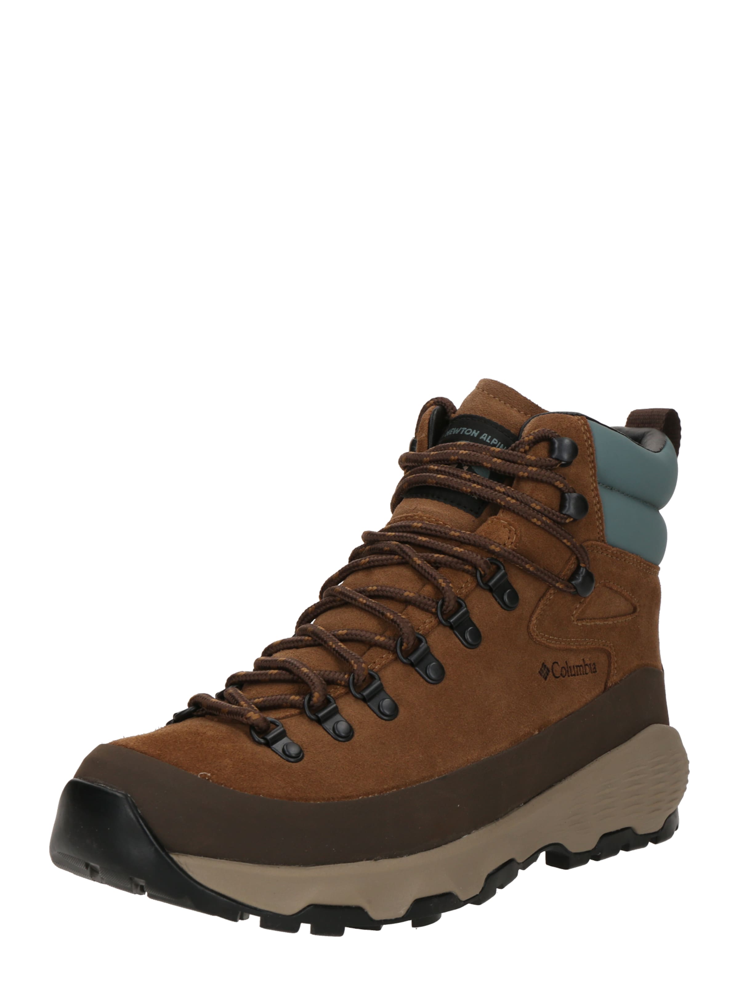 COLUMBIA Boots 'NEWTON ALPINE PT™' σε καφέ: μπροστά