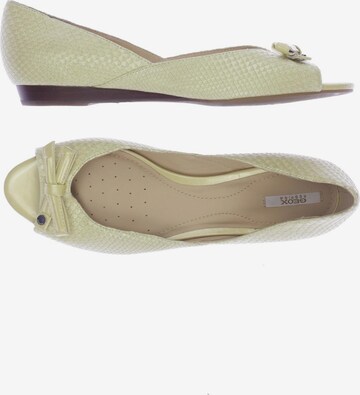 GEOX Flats & Loafers in 39 in Green: front