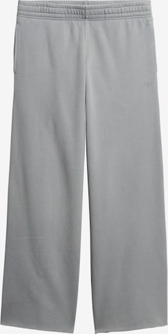 Pantalon Superdry en gris : devant