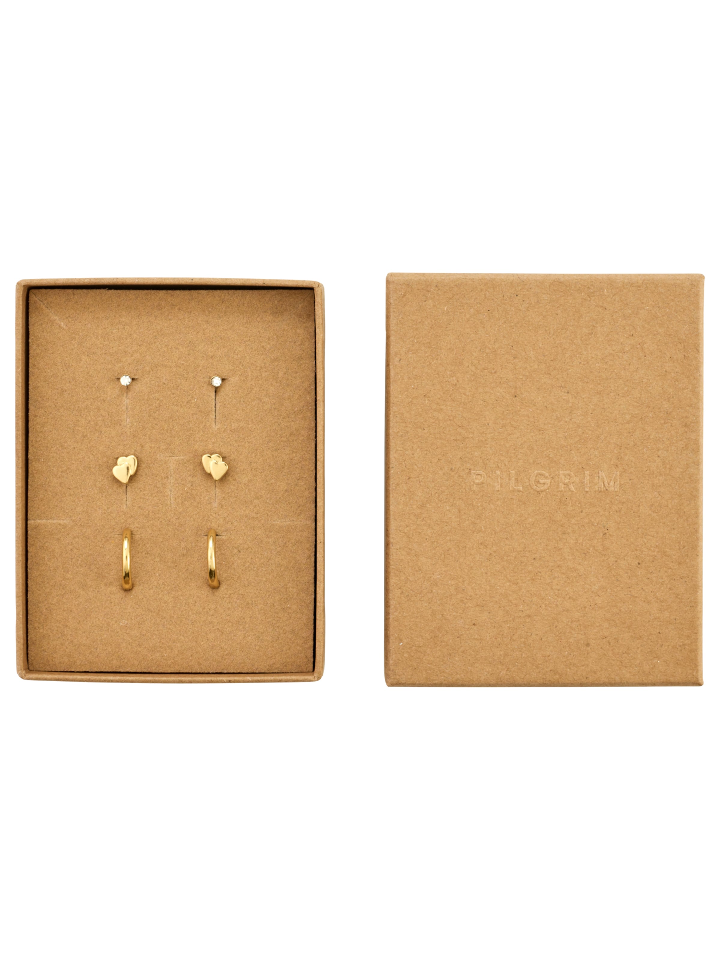 Pilgrim Øreringe 'Halo' i guld