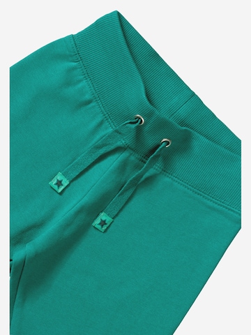Villervalla Regular Pants in Green