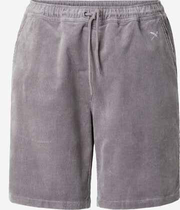 Pantaloni 'Corvin' di Iriedaily in grigio: frontale