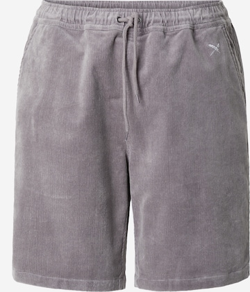 Iriedaily Regular Shorts 'Corvin' in Grau: predná strana