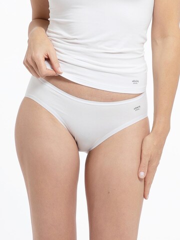SPEIDEL Panty 'Soft Feeling' in Mixed colors