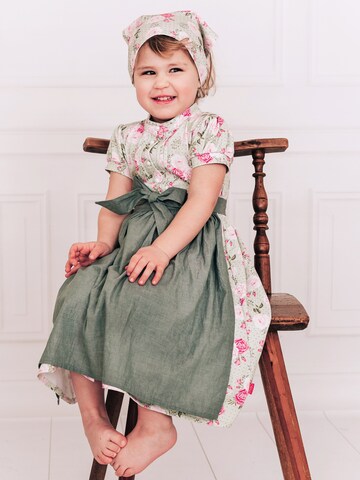 Mogo Kleid 'Rosenhorn'‌‌‌‌‌‌‌‌‌ in Grün: Vorderseite