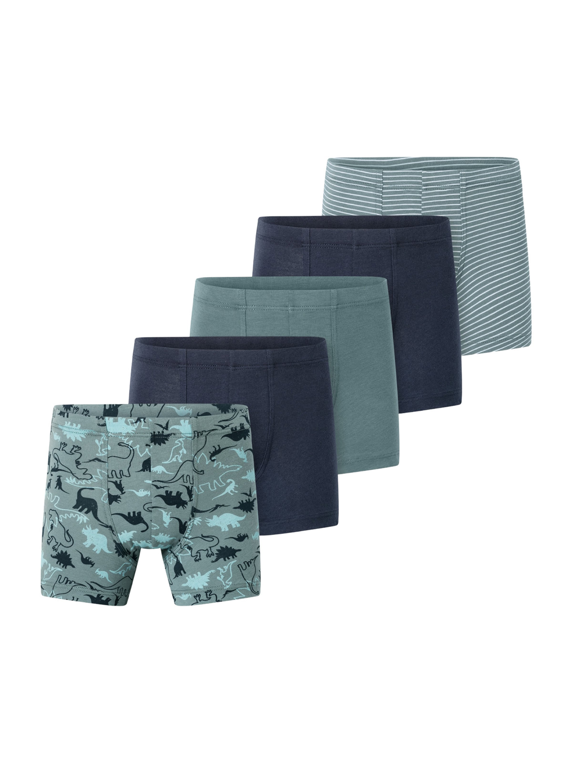 Sous-vêtements '95/5' SCHIESSER en mélange de couleurs : devant