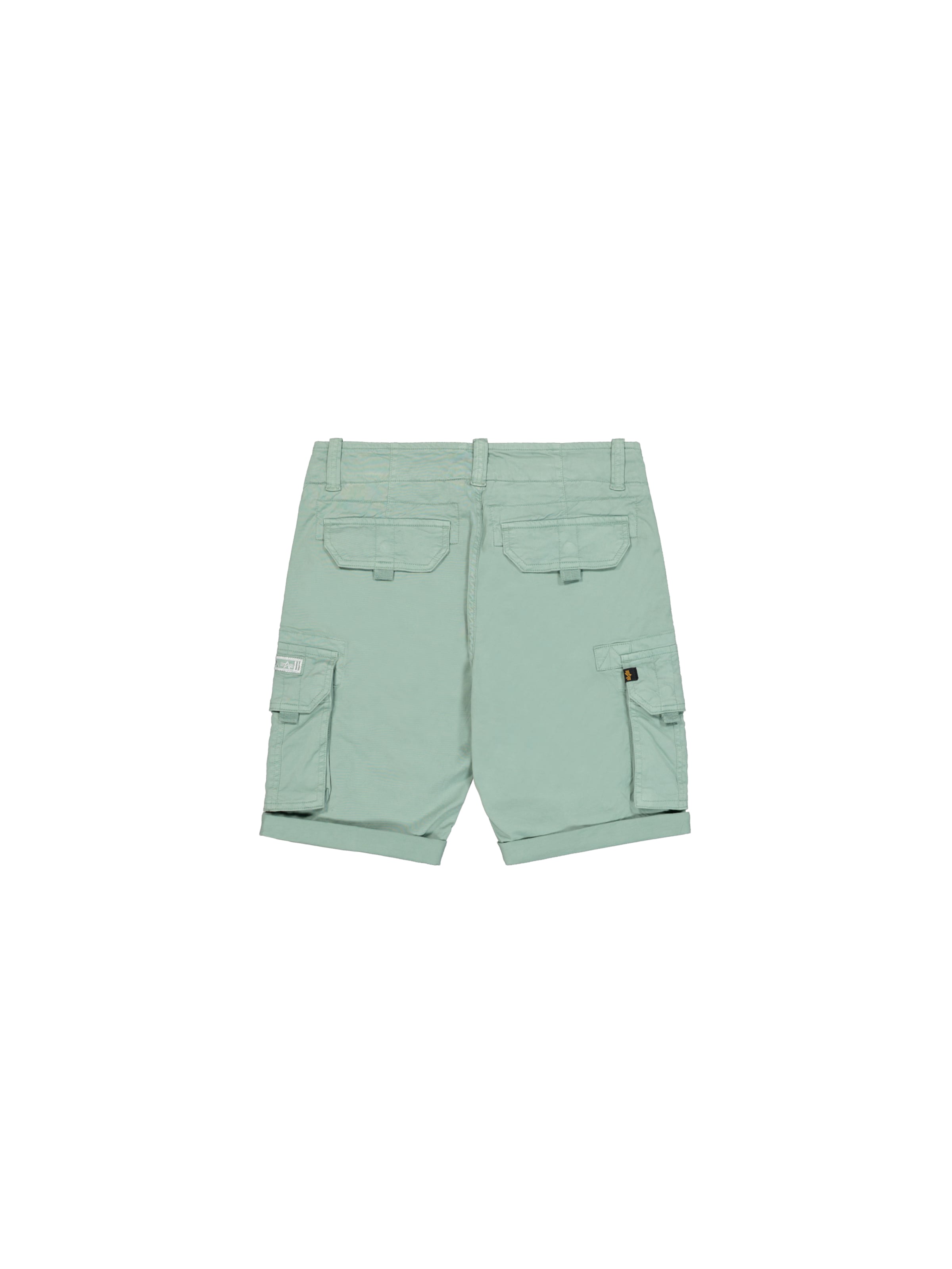 ALPHA INDUSTRIES Liibuv Klapptaskutega püksid, värv roheline