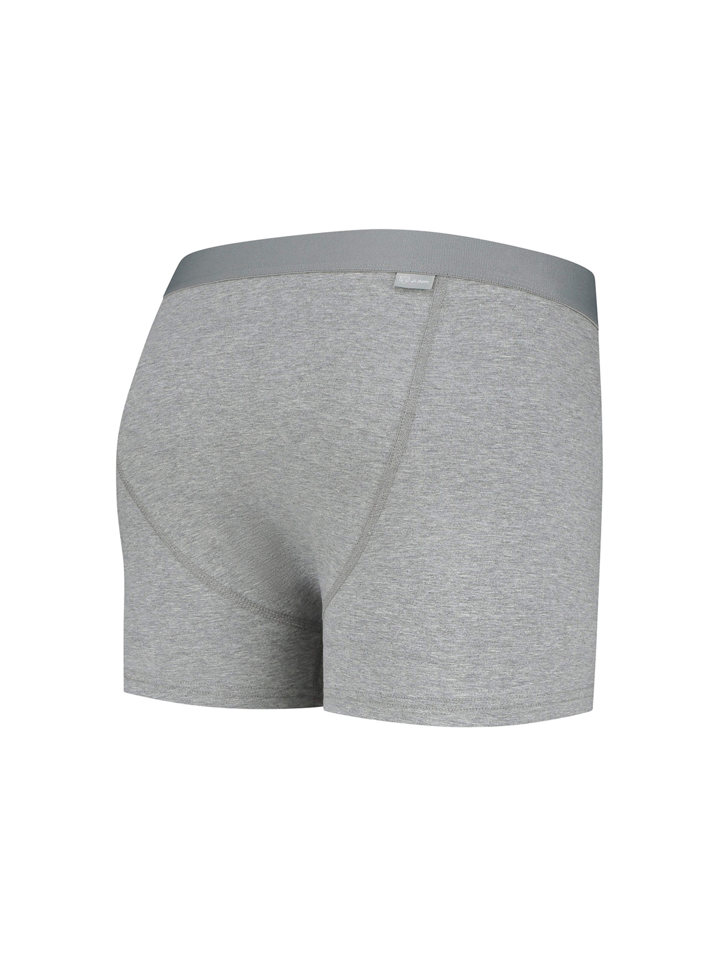 A-dam Boxer shorts 'MELOMELA' in Grey