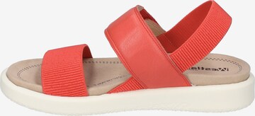 Westland Sandals 'Albi 07' in Red
