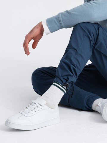 Ombre Regular Trousers in Blue