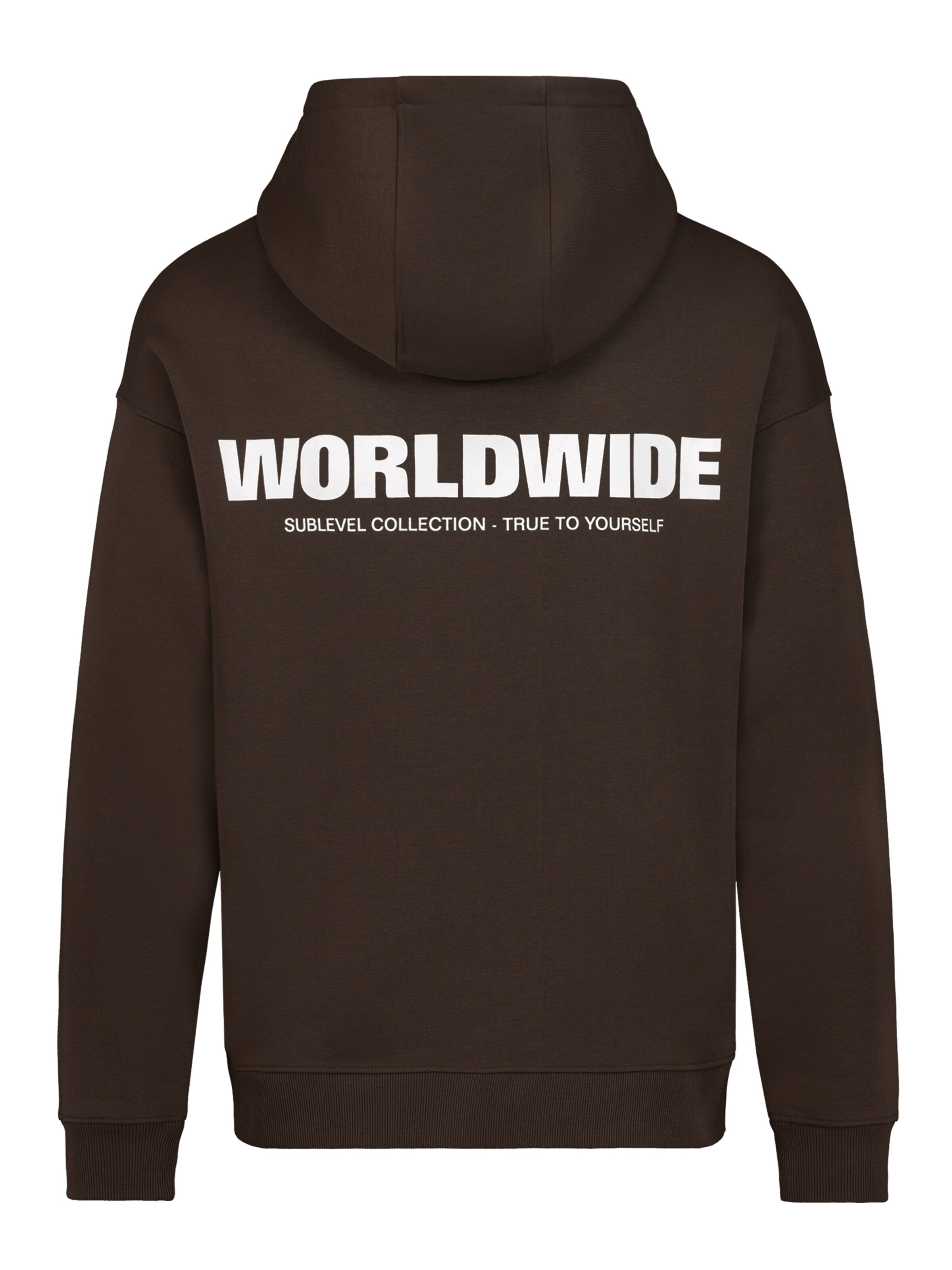 Sublevel Sweatshirt 'Worldwide' in Brown