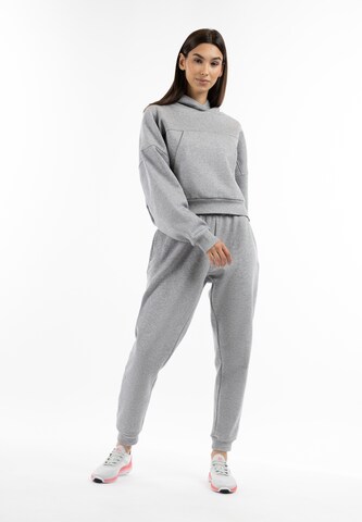 Hootomi Sweatshirt in Grau