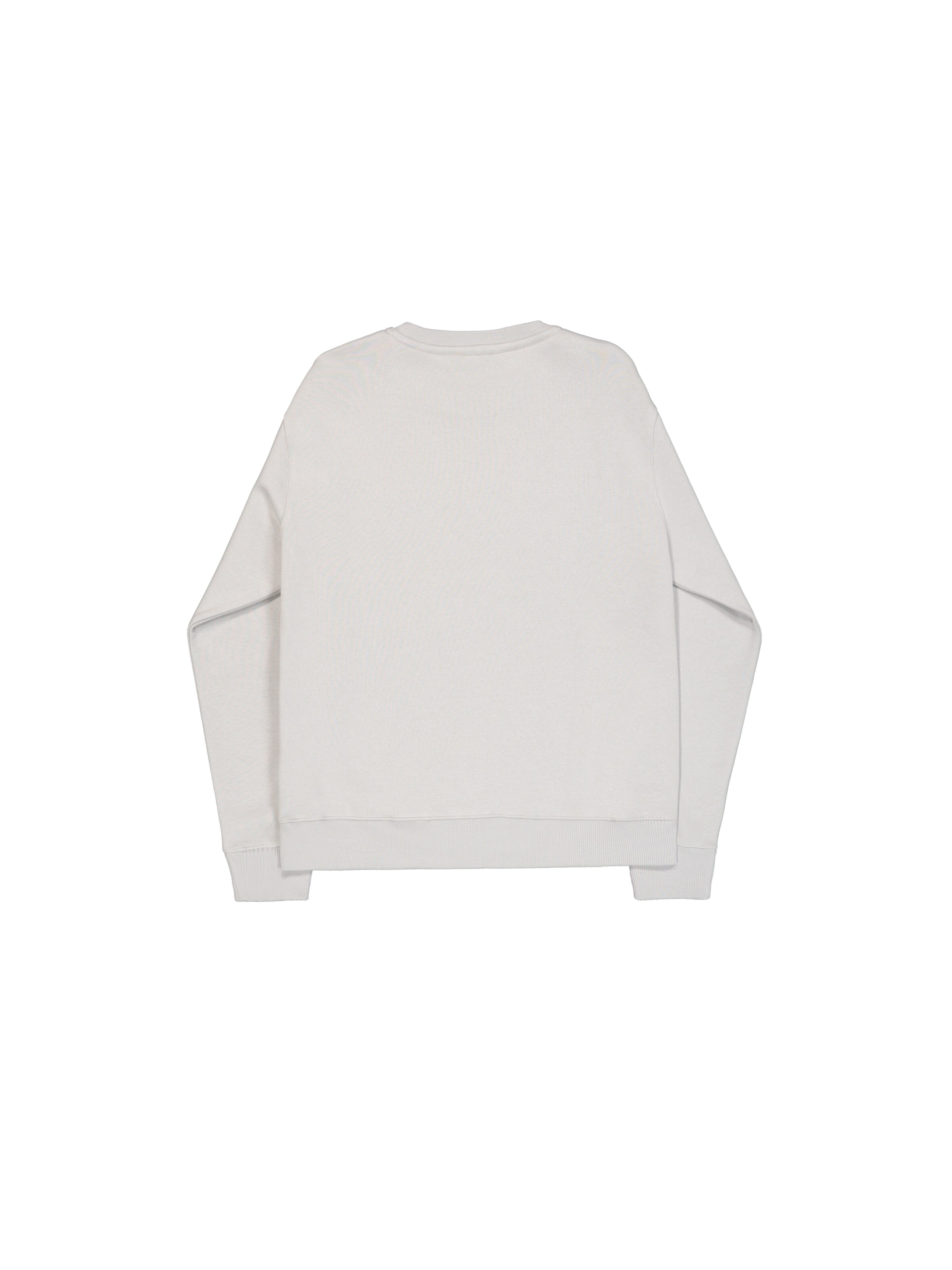 ALPHA INDUSTRIESSweater majica - siva boja